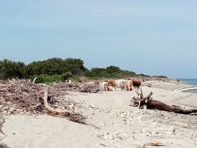 Basa Aerea 126 di Sulinzara