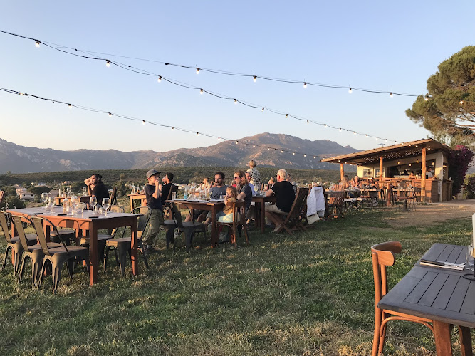 La table du domaine Camellu