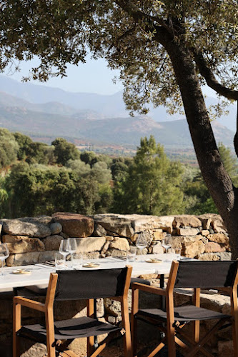 FALASCA Table de terroir