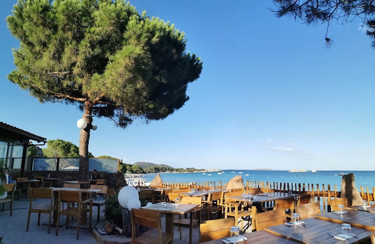 Le Petit Chose Palombaggia