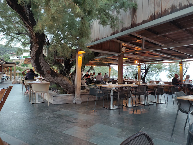 Le Fautea Bar Plage Restaurant