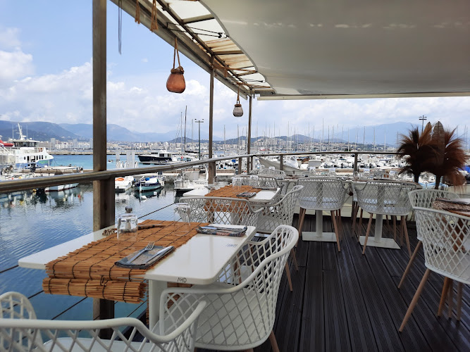 Le poséidon Balthazar Gonzalez x Chef Lambert