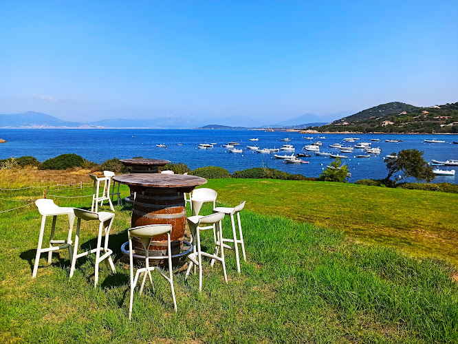 Chez Mico - restaurant & bar