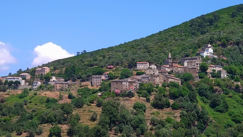 Prunelli-di-Casacconi