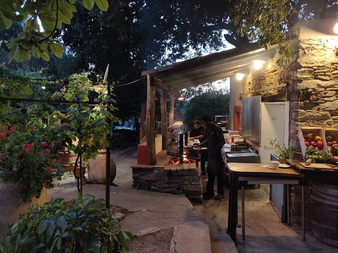 Libertalia Bistro Tropical