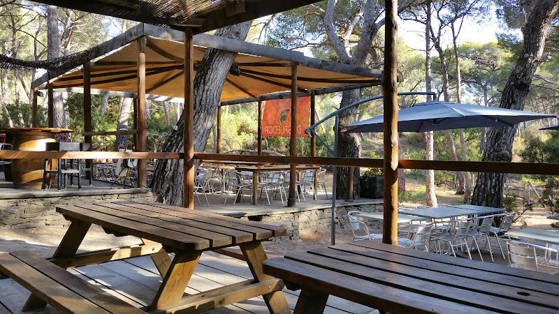 A Piniccia di Saleccia