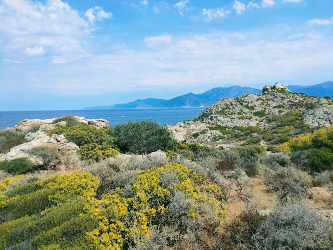 Santo-Pietro-di-Tenda